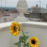 La Loggetta 63 * Palagianello